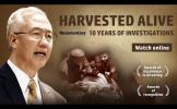 Harvested alive －10 year's investigation of Force Organ Harvesting