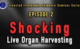 Episode 2 Shocking Live Organ Harvesting Cases Reported by Lu Shuheng