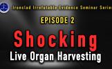 Episode 2 Shocking Live Organ Harvesting Cases Reported by Lu Shuheng