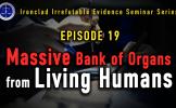 Episode 19: Evidence Seven, Eight and Nine of the Existence of an Enormous Living Human Organ Donor Bank